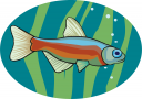 Fish Clipart