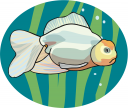 Fish Clipart