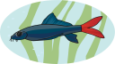 Fish Clipart