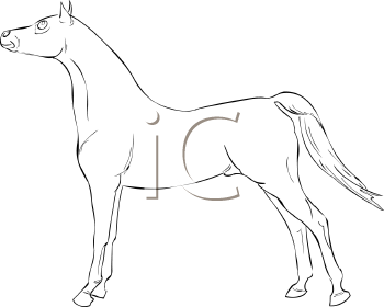 Horse Clipart