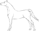 Horse Clipart