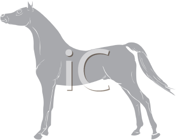 Horse Clipart