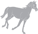 Horse Clipart