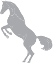 Horse Clipart