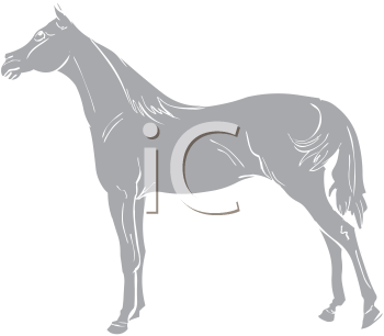 Horse Clipart