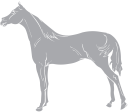 Horse Clipart