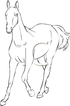 Horse Clipart