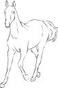 Horse Clipart