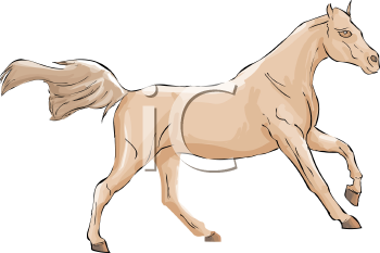 Horse Clipart