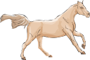 Horse Clipart