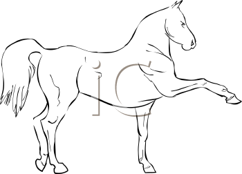 Horse Clipart