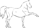 Horse Clipart