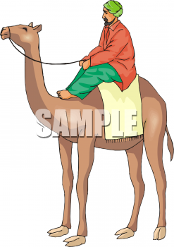 Camel Clipart