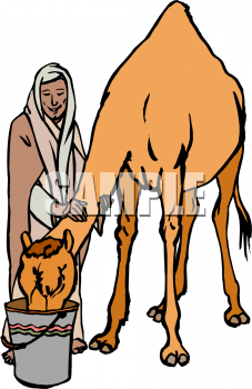 Camel Clipart