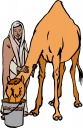 Camel Clipart