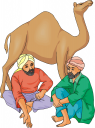 Camel Clipart