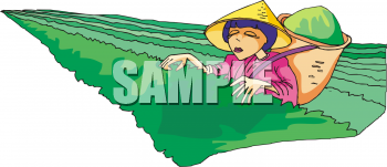 Farm Clipart