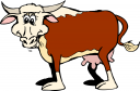 Cow Clipart