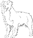 Dog Clipart