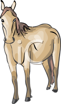 Horse Clipart