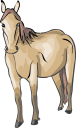 Horse Clipart