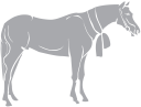 Horse Clipart