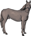 Horse Clipart