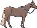 Horse Clipart