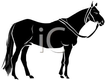 Horse Clipart