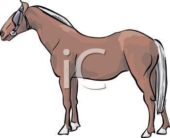 Horse Clipart