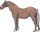 Horse Clipart