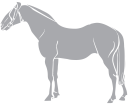 Horse Clipart