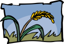 Grass Clipart