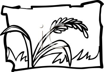 Grass Clipart