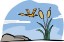 Duck Clipart