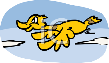 Duck Clipart