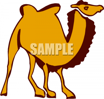 Camel Clipart