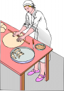 Cake Clipart