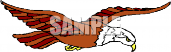 Eagle Clipart