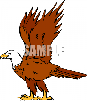 Eagle Clipart