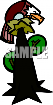 Eagle Clipart