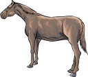 Horse Clipart