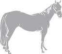 Horse Clipart