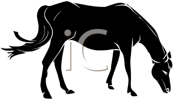 Horse Clipart