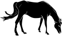 Horse Clipart