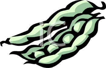 Royalty Free Bean Clipart