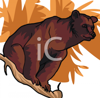 Bear Clipart