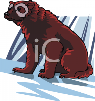 Bear Clipart