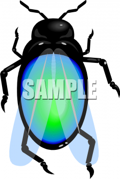 Bug Clipart