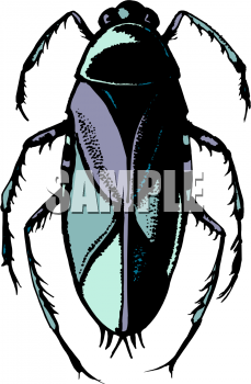 Bug Clipart